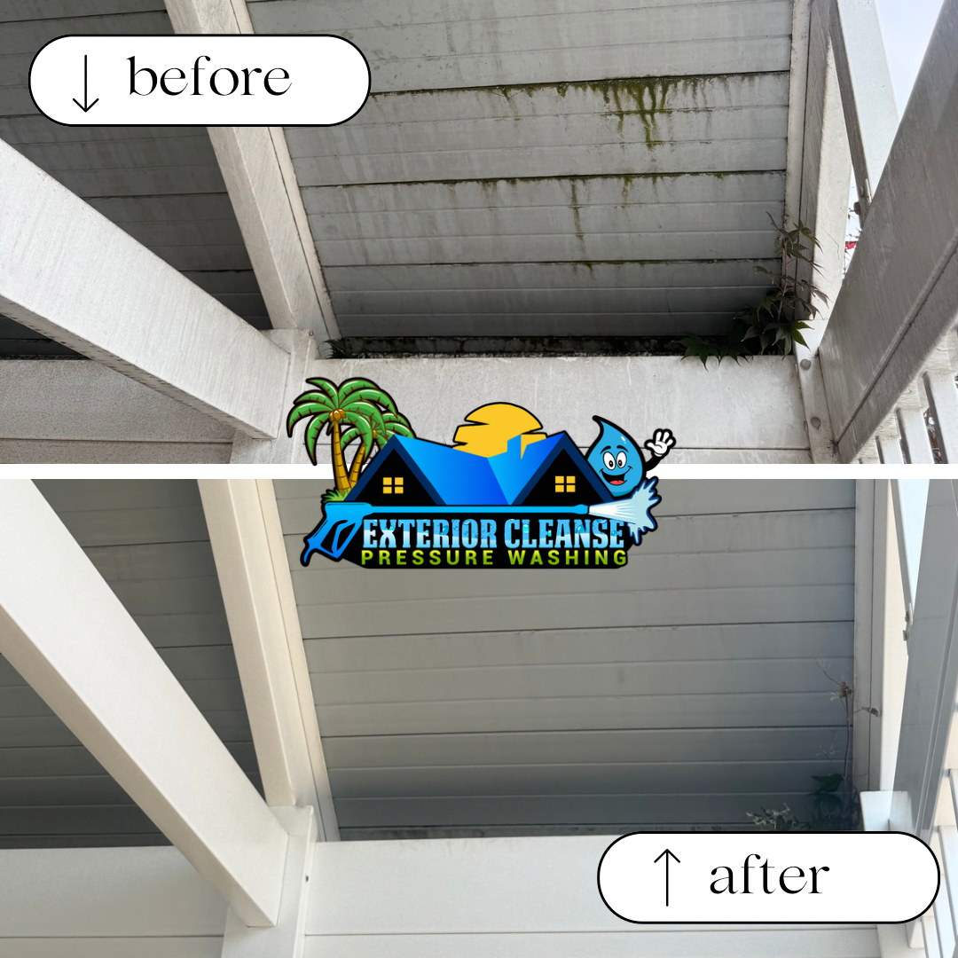 Top Quality Soft Wash Vinyl Cleaning Performed in Torrance, CA